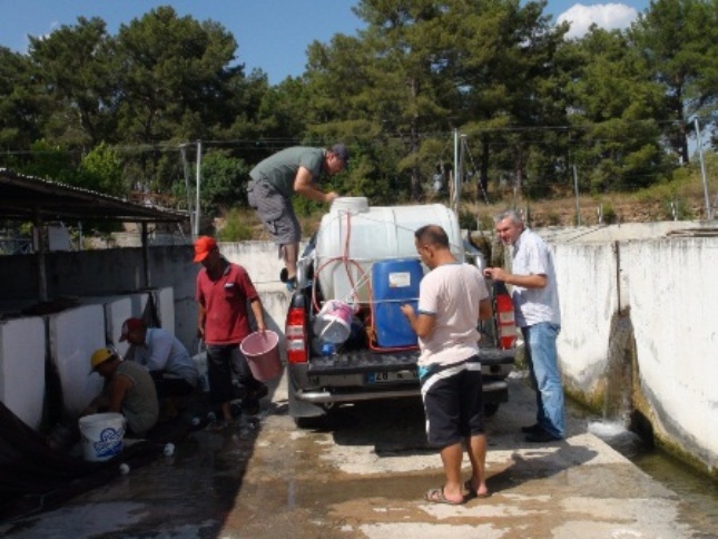 GÖLETLERİMİZE 50 BİN BALIK BIRAKILDI galerisi resim 1