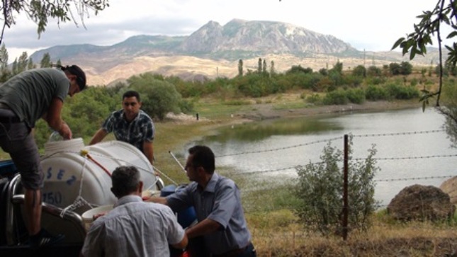 GÖLETLERİMİZE 50 BİN BALIK BIRAKILDI galerisi resim 8