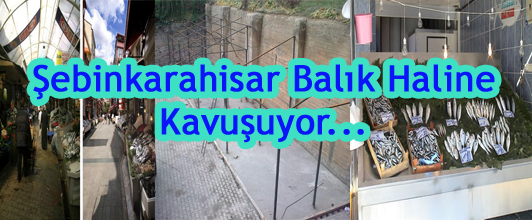 Şebinkarahisar Balık Haline kavuşuyor..