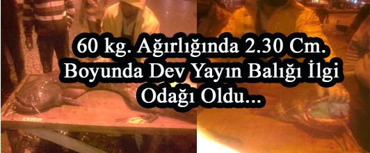 İlçemiz Barajında yakalanan dev yayın balığı ilgi odağı oldu.