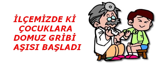 İlçemizde Domuz Gribi Aşısı Uygulanmaya Başlandı