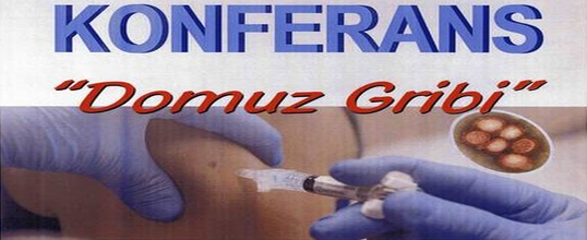 Şebinkarahisar MYO'da Domuz Gribi Konferansı
