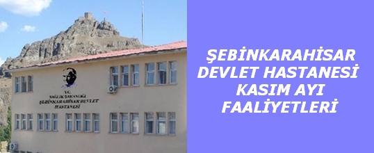 Şebinkarahisar DH Kasım Ayı Faaliyetleri