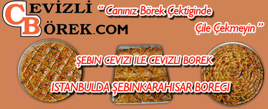 Cevizli börek internette