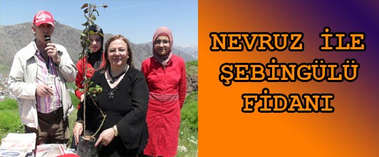 Nevruz İle Şebingülü Fidanı