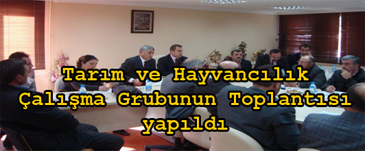Tarım ve Hayvancılık Çalışma Grubunun Toplantısı yapıldı