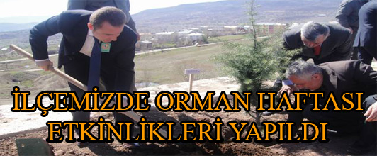 İlçemizde Orman Haftası Etkinlikleri Yapıldı