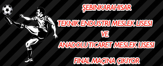Şebinkarahisar Liseler Arası Büyük Final