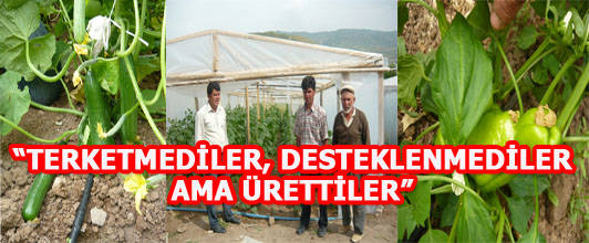 TERKETMEDİLER, DESTEKLENMEDİLER AMA ÜRETTİLER