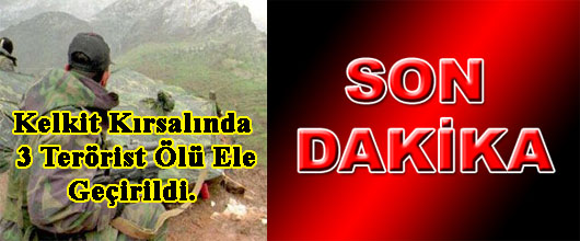 Kelkit Kırsalında 3 Terörist Ölü Ele Geçirildi