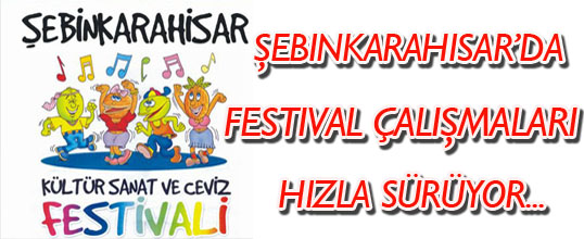 Şebinkarahisarda Festival Çalışmaları Hızla Sürüyor