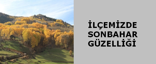 Şebinkarahisar'da Sonbahar Güzelliği