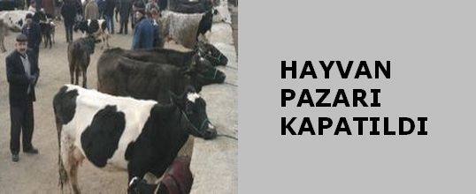 Hayvan Pazarı Kapatıldı