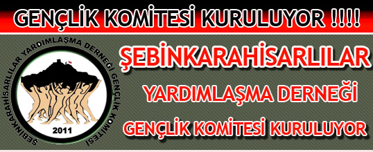 Şebinkarahisarllılar Yardımlaşma Derneği Gençlik Komitesi