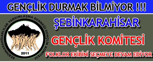 Şebinkarahisarlılar Derneği Gençlik Komitesi