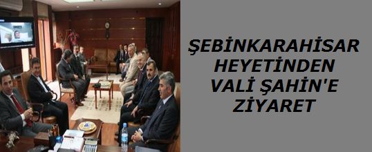 Şebinkarahisar Heyetinden Vali Şahin'e Ziyaret