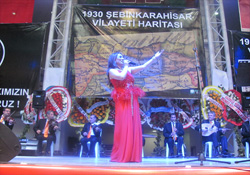 7 DEN 70 E ŞEBİNKARAHİSAR