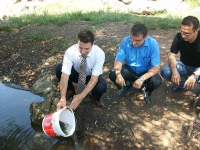 Göletlerimize 20 Bin Yavru Sazan Bırakıldı