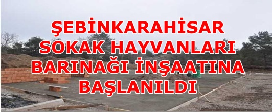 Şebinkarahisar Sokak Hayvanları Barınağı İnşaatına Başlanıldı