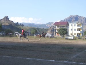 ŞEBİNKARAHİSARDA İLK DEFA  FESTİVALDE CİRİT GÖSTERİLERİ YAPILDI