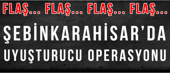 Şebinkarahisar'da esrar operasyonu