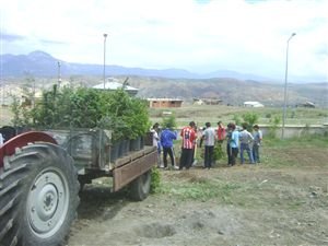 Suşehri'nde 'Umut Köyden Yükselir' Projesi Devam Ediyor