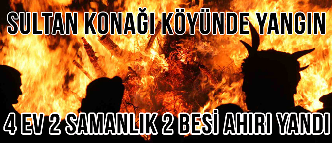 Şebinkarahisar Sultankonağı Köyünde Yangın