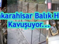 Şebinkarahisar Balık Haline kavuşuyor..