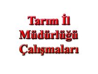 Tarım İl Müdürlüğü Çalışmaları